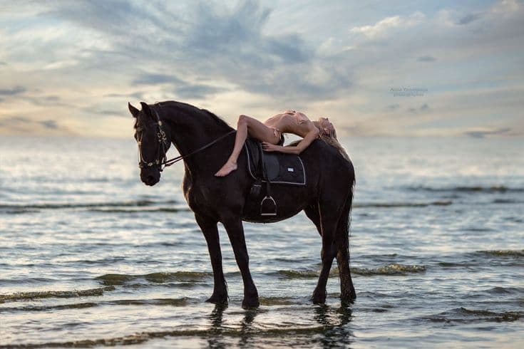 Beach horse back riding and countryside — Guided tour and outdoor activity