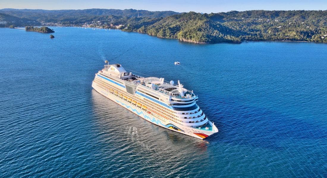 10 Best Samaná Cruise Port Shore Excursions (2027) - Tours Miches Guide