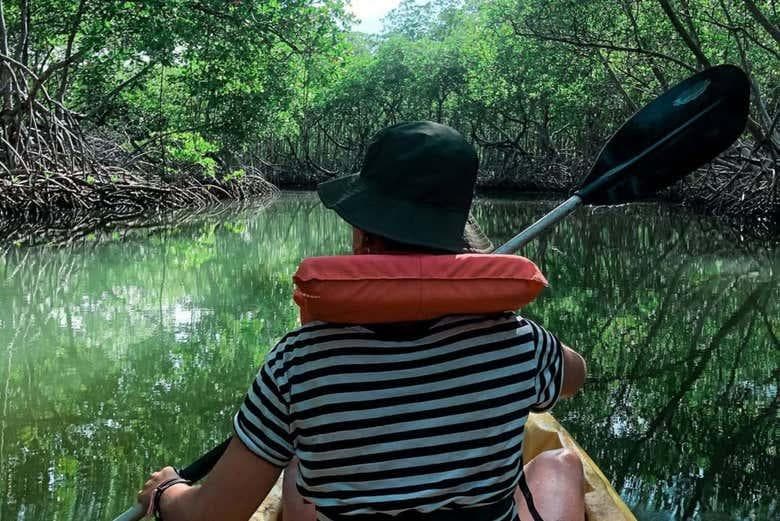Los Haitises National Park by Kayak: A Solo Traveler’s Adventure in May 2026 - Tours Miches Guide