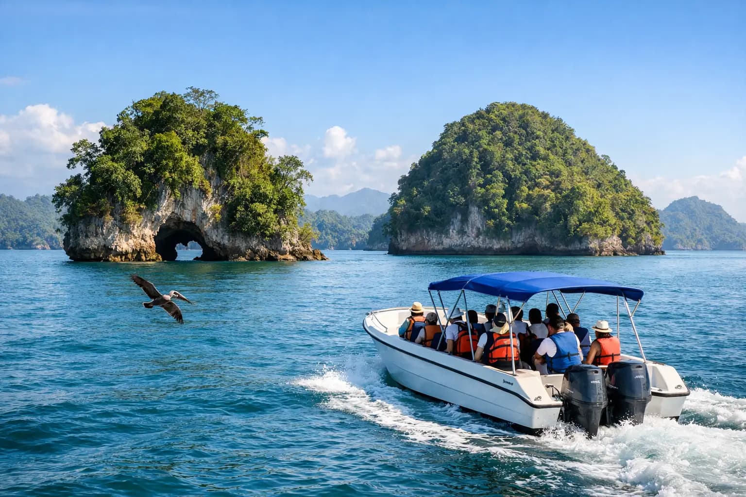 Half-Day Los Haitises NP Boat Tours from Samana - Tours Miches Guide